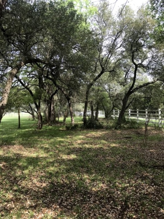 555 River Run Leander, TX 78641 - Photo 7 of 32 a view of a tree in the middle of a yard