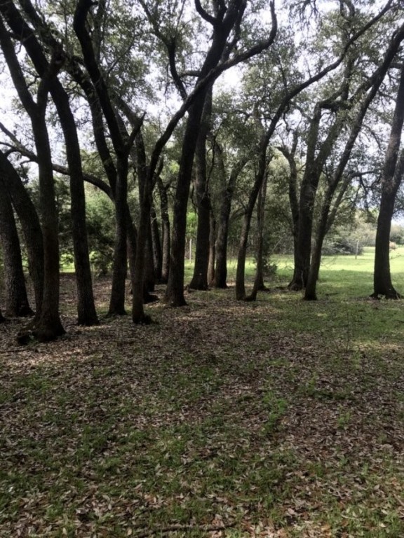 555 River Run Leander, TX 78641 - Photo 8 of 32 a view of outdoor space with deck and tree