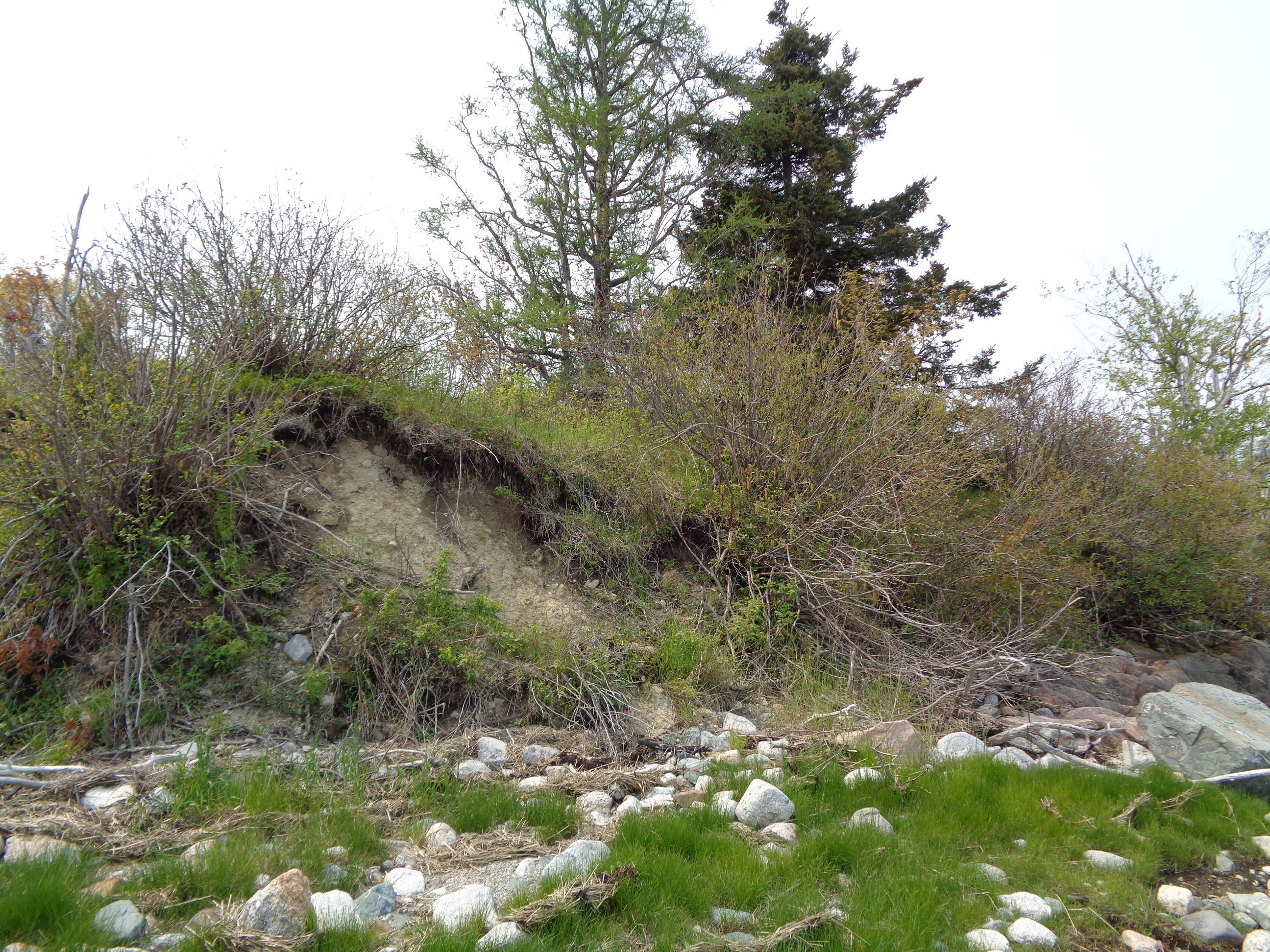 Lot 14-5 Pineo Point Road Harrington, ME 04643 - Photo 33 of 34 DSC03111