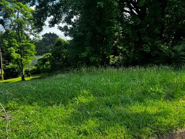 a view of a green yard