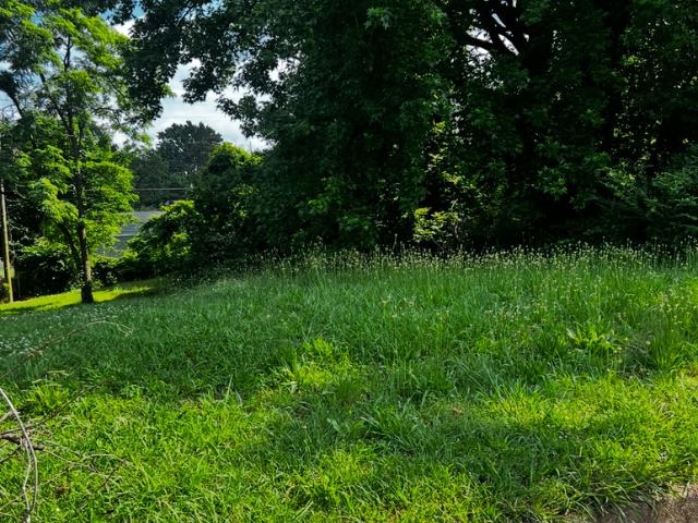 a view of a green yard