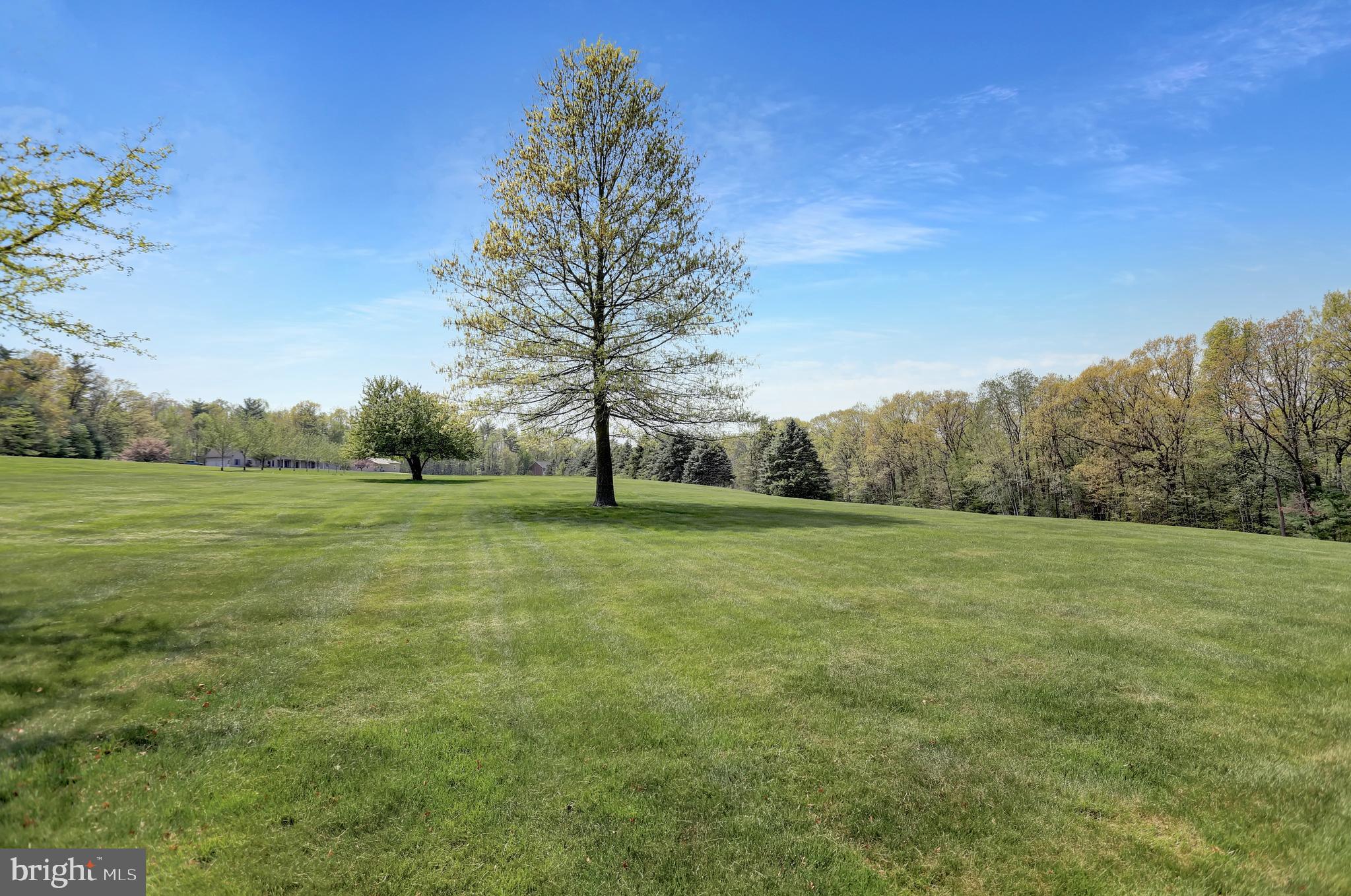 1136 Limestone Ridge Road Elliottsburg, PA 17024 - Photo 10 of 43 LARGE BACK YARD