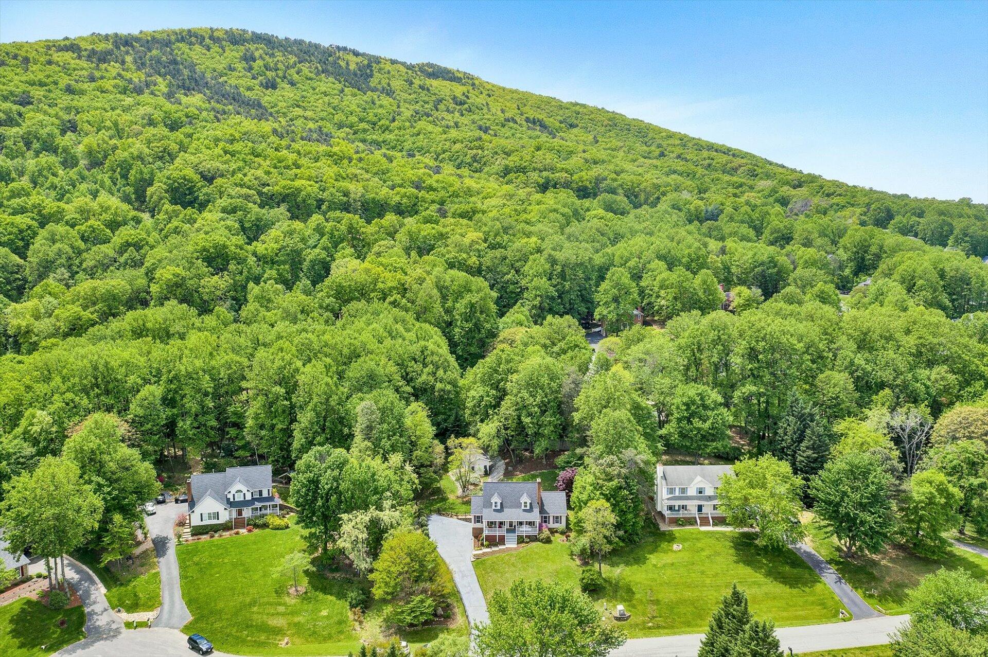 610 Winesap Road Roanoke, VA 24019 - Photo 62 of 68 62-042520230062