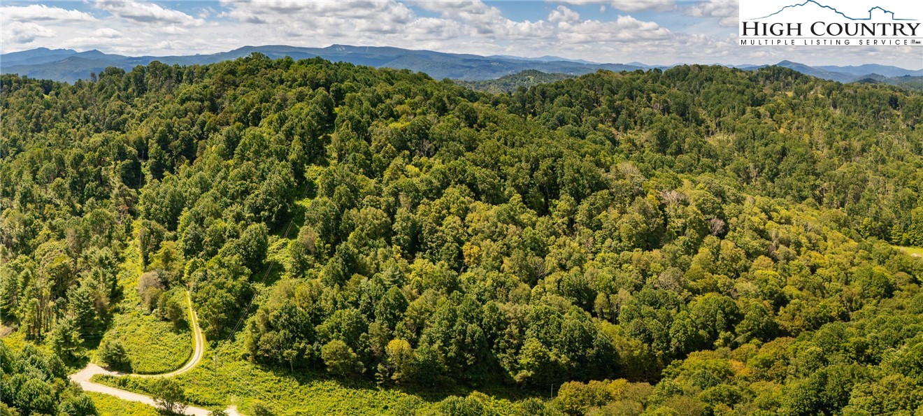Georges Gap Road Vilas, NC 28692 - Photo 31 of 42 Gallery Image 31