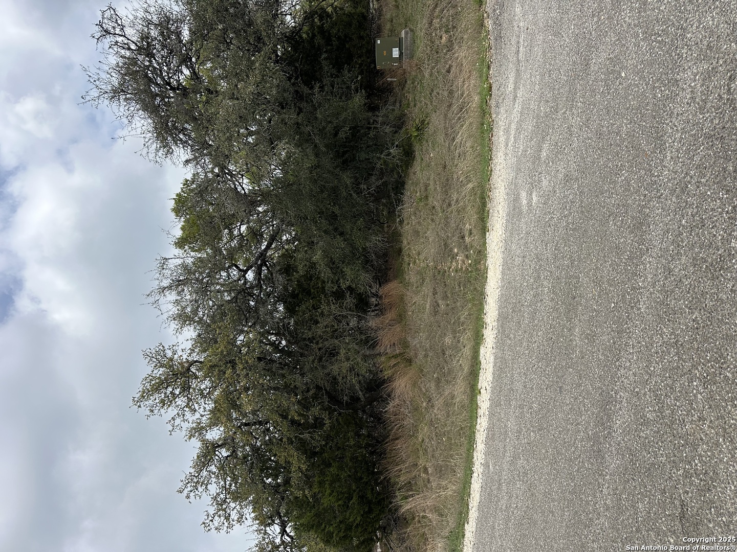 Lot 932 Jesse Stiff Blanco, TX 78606 - Photo 3 of 4