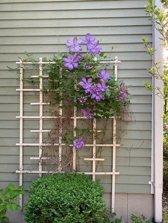3 Westminster Rd Way Andover, MA 01810 - Photo 32 of 39 Gallery Image 32
