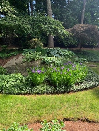 3 Westminster Rd Way Andover, MA 01810 - Photo 33 of 39 Gallery Image 33