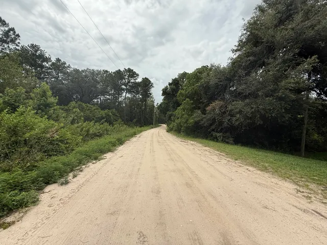 an aerial view of houses covered in trees
