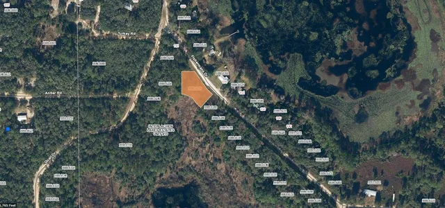 a view of a bunch of trees and bushes