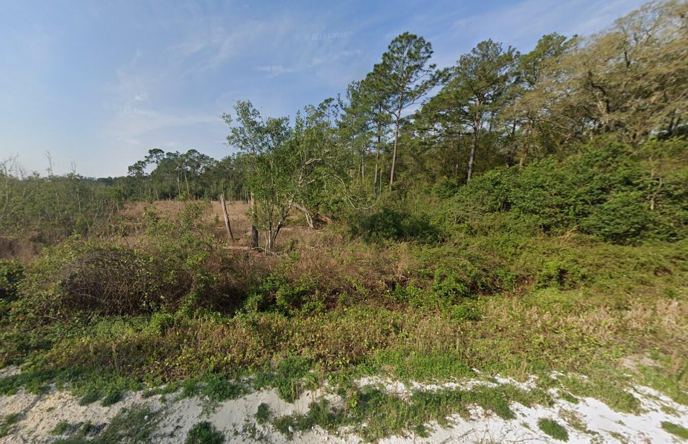 129 Fishermans Drive Interlachen, FL 32148 - Photo 8 of 9 a view of a bunch of trees and bushes