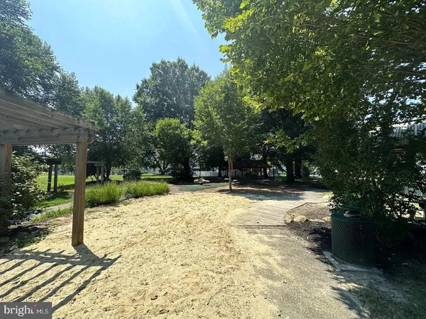 a backyard of a house with plants and large trees