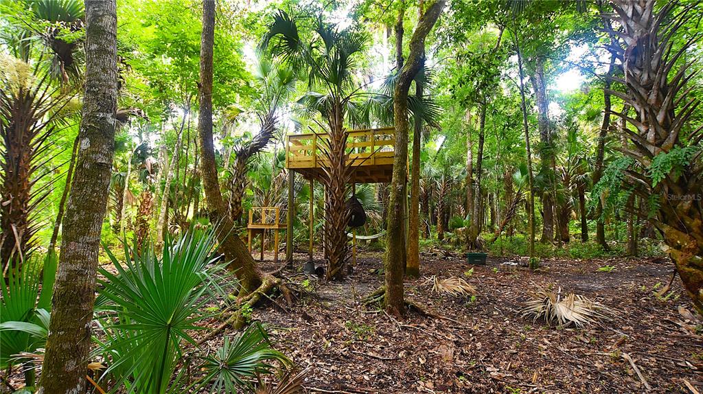 Volco Road Edgewater, FL 32141 - Photo 9 of 17
