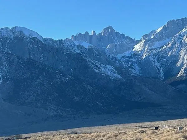 a view of a yard with a mountain in the background