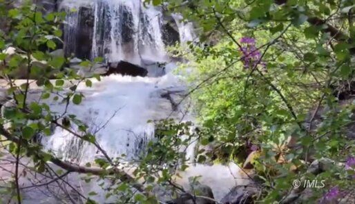 3580 Whitney Portal Road Lone Pine, CA 93545 - Photo 16 of 32 a picture of flowers