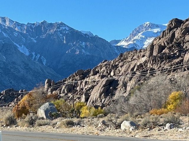 3580 Whitney Portal Road Lone Pine, CA 93545 - Photo 2 of 32 a view of a large tree next to a road