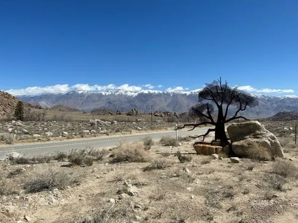 a view of a street with some trees