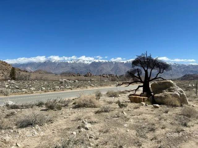 a view of a street with some trees