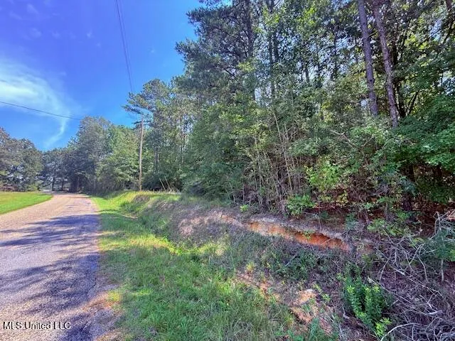 $48,750 | Brandon Bay Church Road, Tylertown, MS 39667