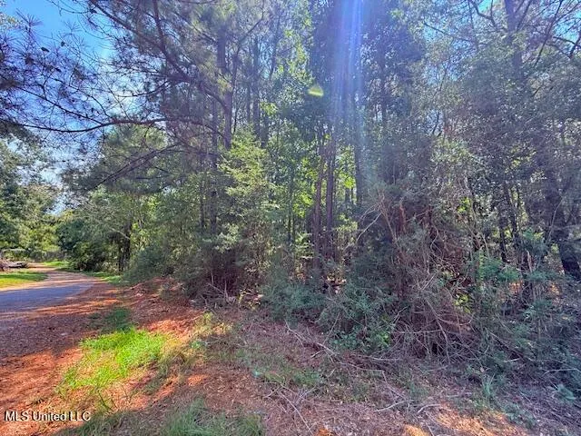 $48,750 | Brandon Bay Church Road, Tylertown, MS 39667