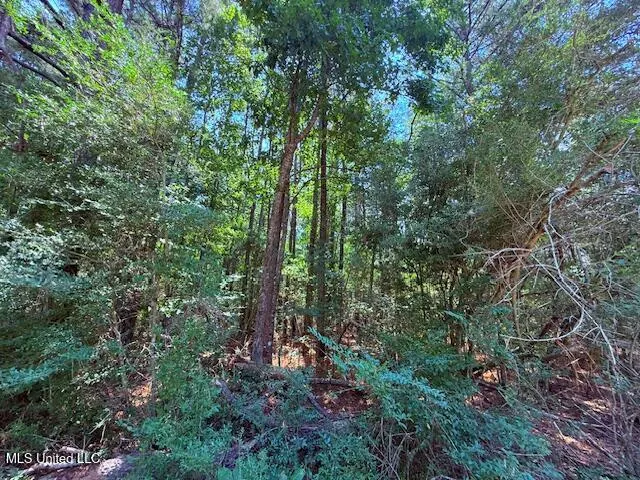 $48,750 | Brandon Bay Church Road, Tylertown, MS 39667