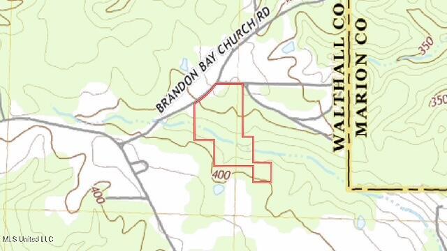 Brandon Bay Church Road Tylertown, MS 39667 - Photo 13 of 15 IMG_0606