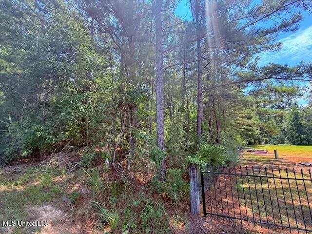 $48,750 | Brandon Bay Church Road, Tylertown, MS 39667