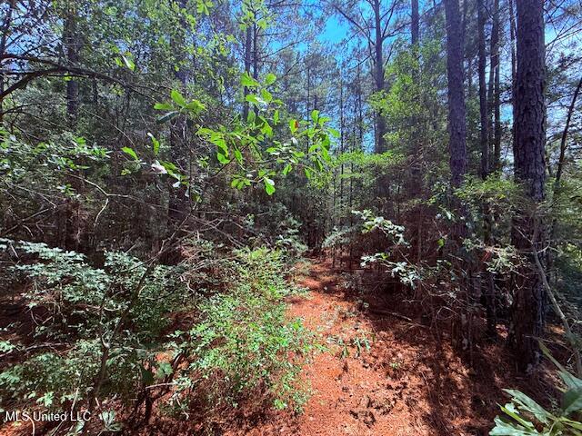 Brandon Bay Church Road Tylertown, MS 39667 - Photo 4 of 15 IMG_0621
