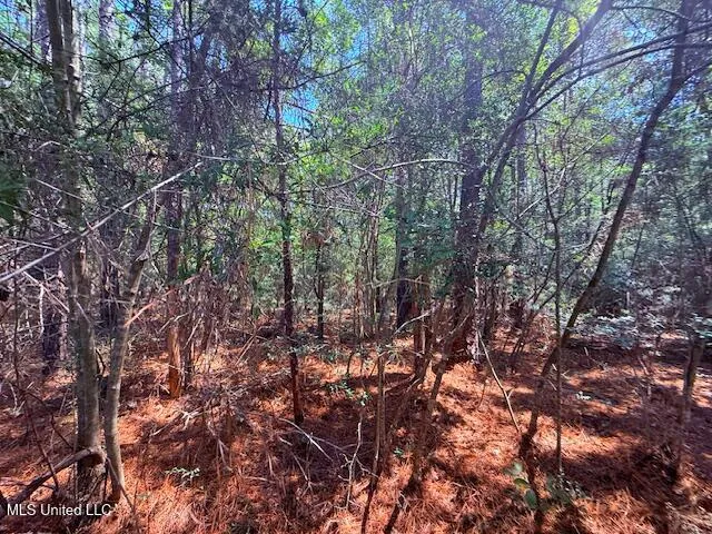 $48,750 | Brandon Bay Church Road, Tylertown, MS 39667