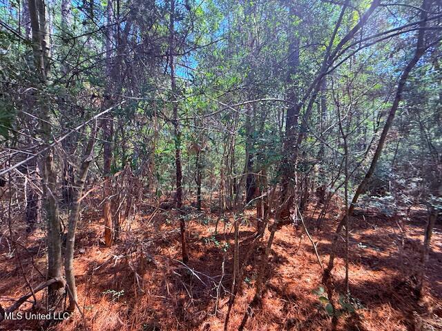 Brandon Bay Church Road Tylertown, MS 39667 - Photo 5 of 15 IMG_0622