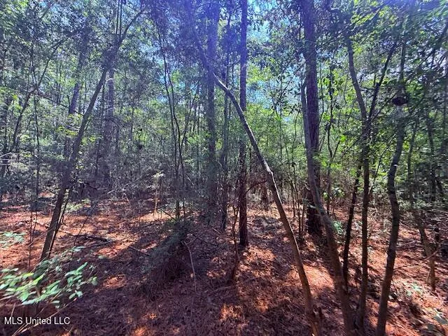 $48,750 | Brandon Bay Church Road, Tylertown, MS 39667