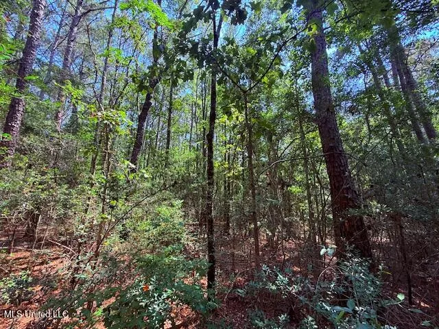 $48,750 | Brandon Bay Church Road, Tylertown, MS 39667