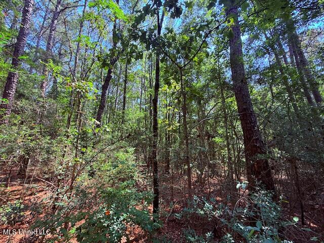 Brandon Bay Church Road Tylertown, MS 39667 - Photo 7 of 15 IMG_0624