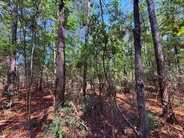 $48,750 | Brandon Bay Church Road, Tylertown, MS 39667