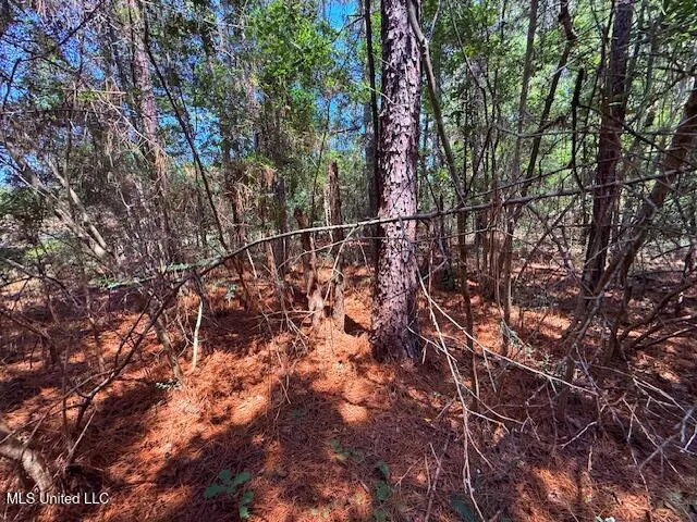 $48,750 | Brandon Bay Church Road, Tylertown, MS 39667