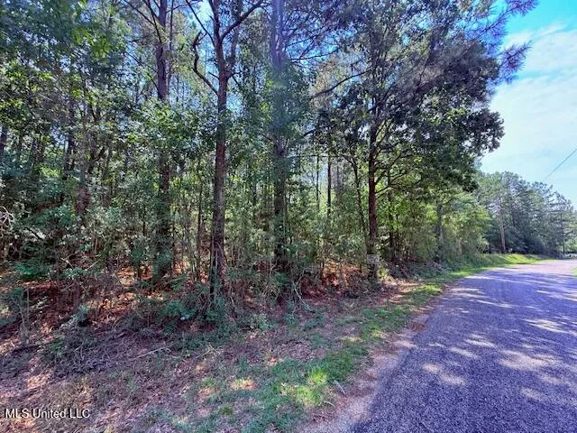 $48,750 | Brandon Bay Church Road, Tylertown, MS 39667