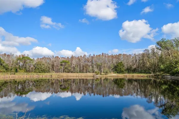 $1,800,000 | 18409 Tyler Road, Odessa, FL 33556