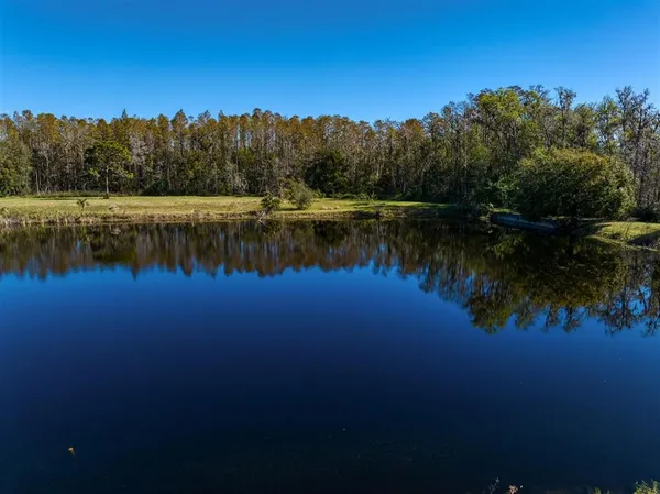 $1,800,000 | 18409 Tyler Road, Odessa, FL 33556