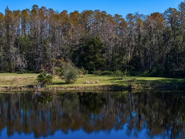 $1,800,000 | 18409 Tyler Road, Odessa, FL 33556