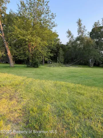 a view of a field with a trees in the background