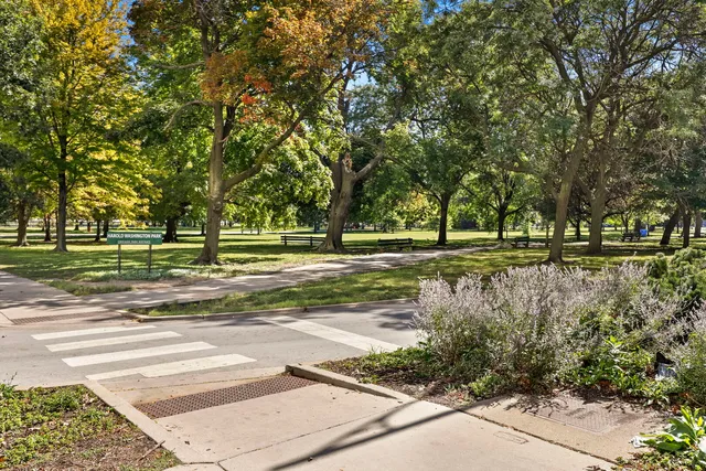 a view of a park with large trees