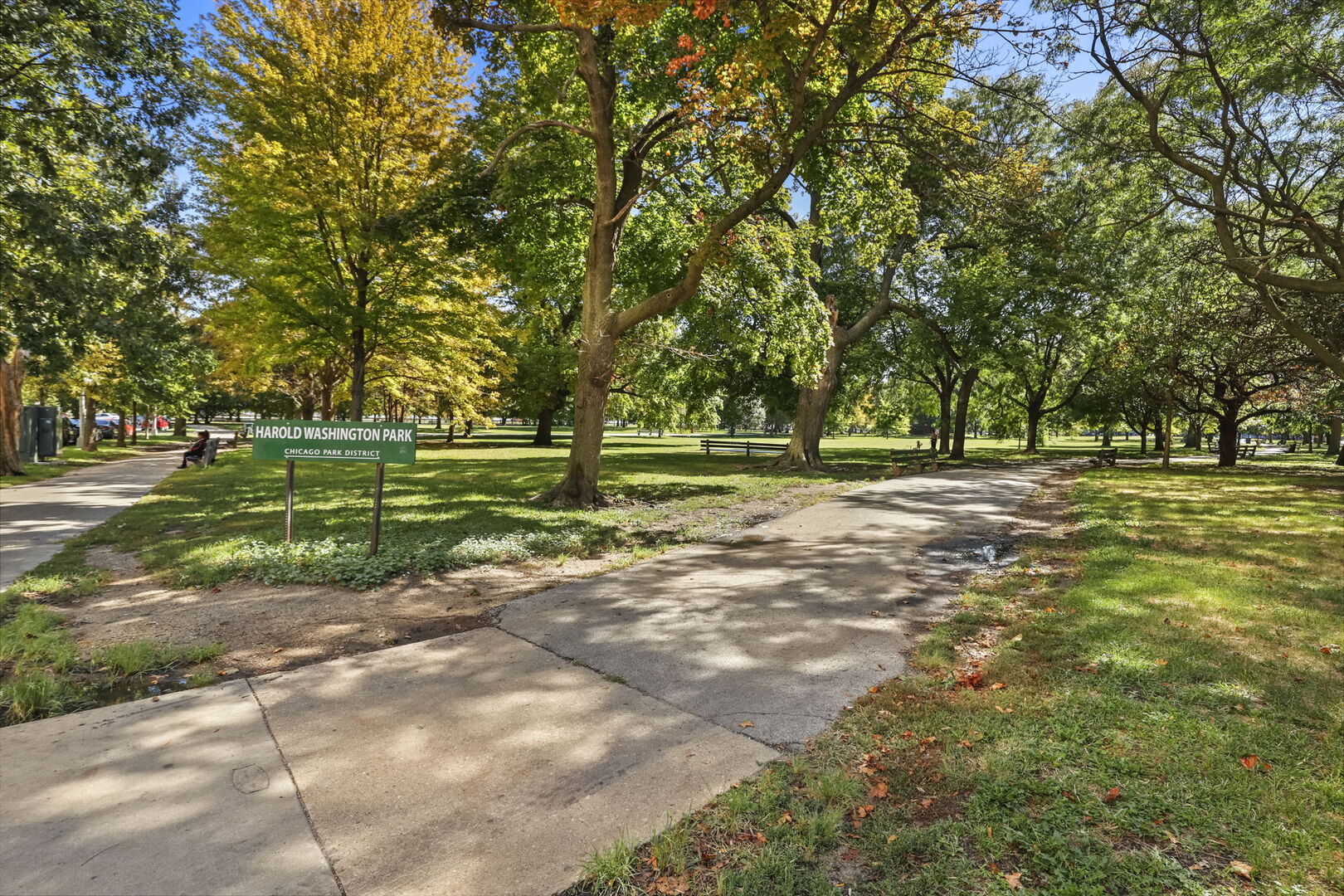 5050 South East End Avenue, Unit 7A Chicago, IL 60615 - Photo 24 of 24 a view of a park with large trees