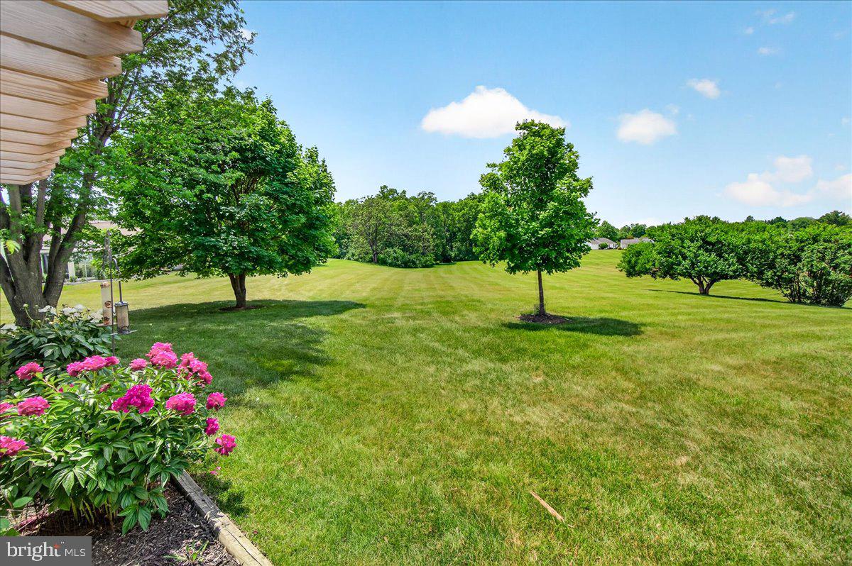 7047 Catalpa Road Frederick, MD 21703 - Photo 57 of 118