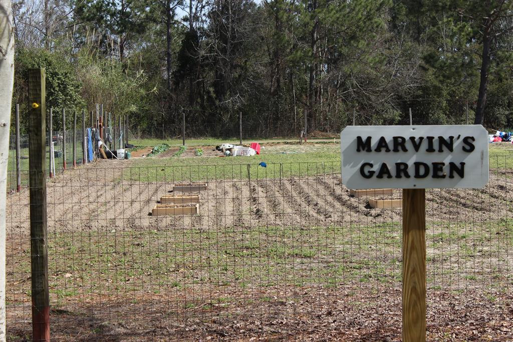 24 Andre Michaux Road Santee, SC 29142 - Photo 37 of 42 Gallery Image 37