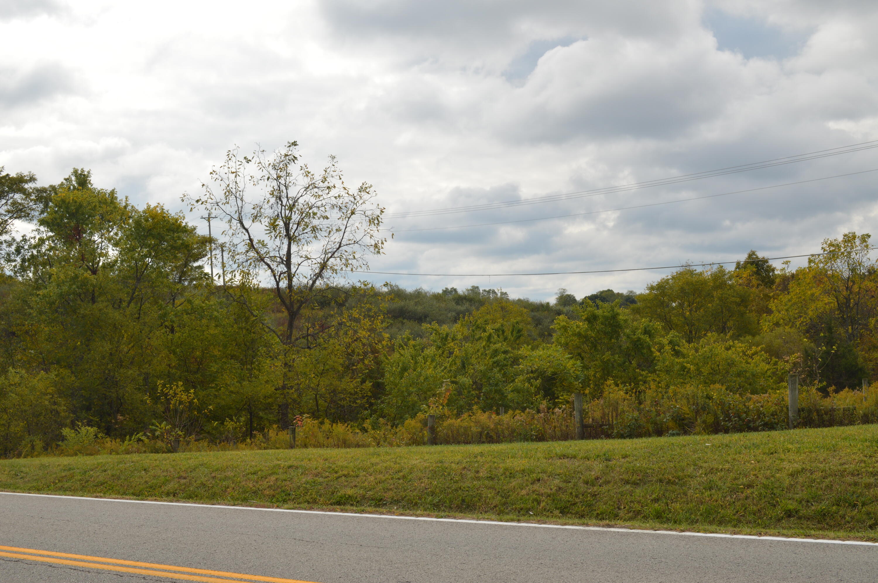 Lot # Georgetown Road Owenton, KY 40359 - Photo 11 of 13 DSC_0101