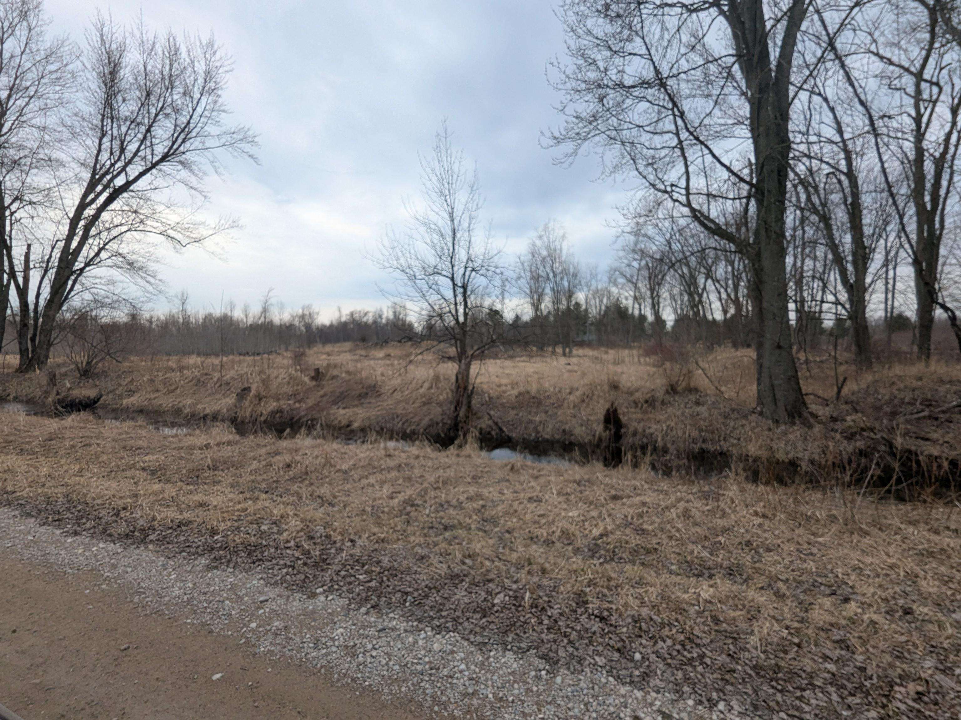 4438 Reynolds Road Turner, MI 48765 - Photo 8 of 40