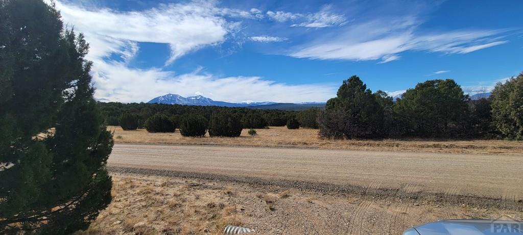 Lot 34 Silver Spur Road Walsenburg, CO 81089 - Photo 9 of 43