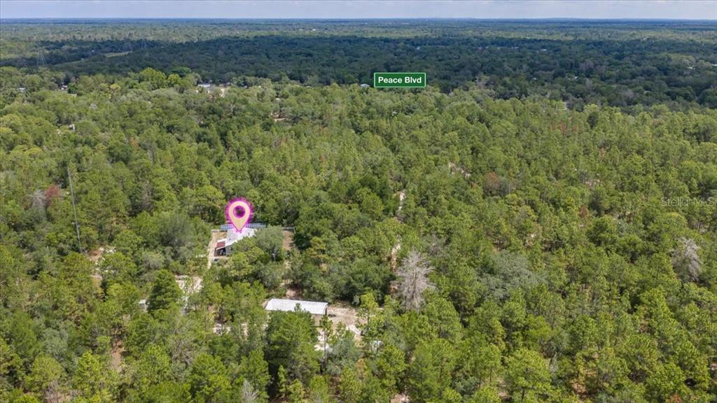 15624 Peace Boulevard Spring Hill, FL 34610 - Photo 47 of 59