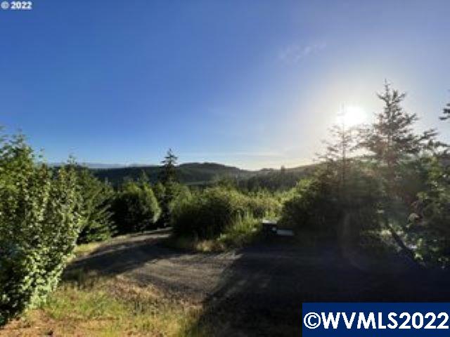 42425 Fort Hill Road Willamina, OR 97396 - Photo 16 of 18