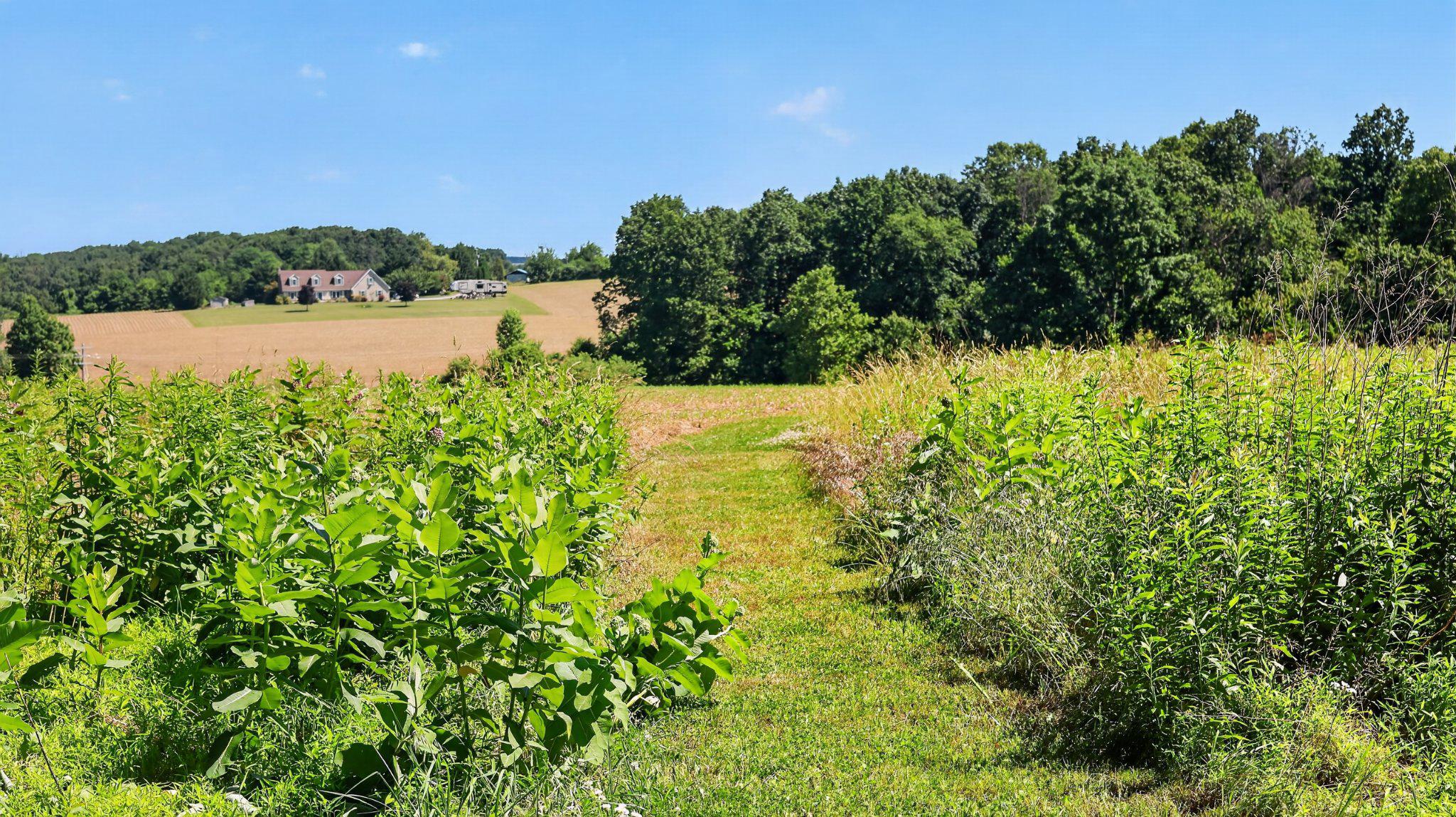 8042 Bobs Road Felton, PA 17322 - Photo 35 of 47 Walking path, facing NE
