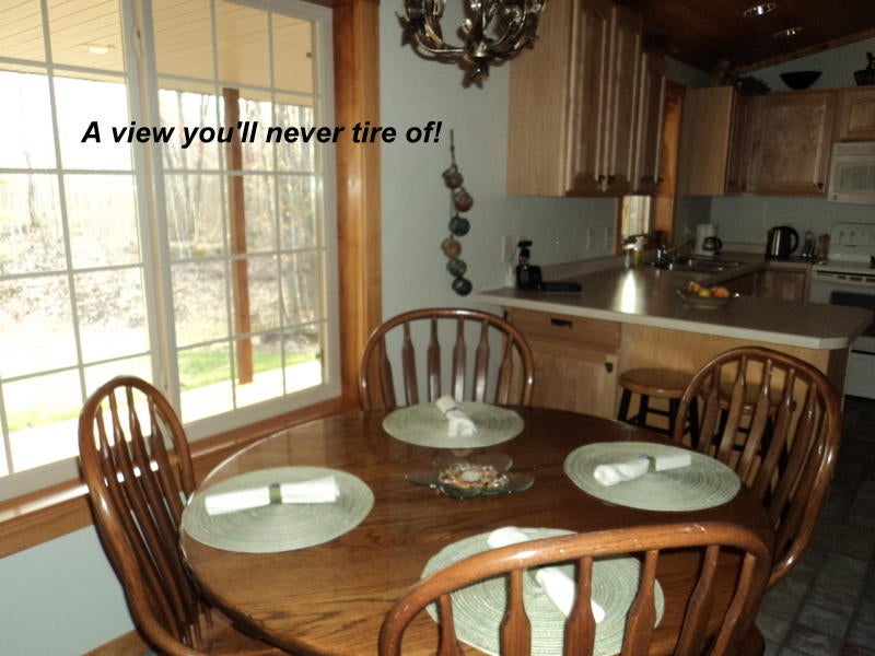 4949 Scott Road Hubbard Lake, MI 49747 - Photo 7 of 33 Gallery Image 7